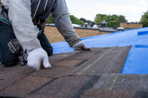 Best Storm Damage Roof Repair  in Blue Ridge, VA